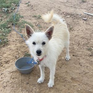 Meet your Posher, Elias